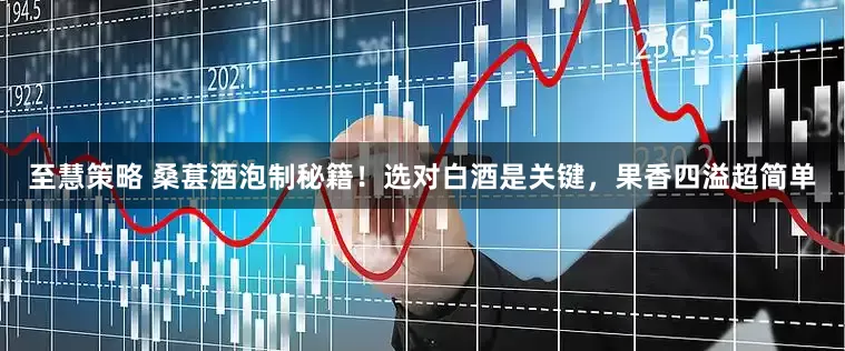 至慧策略 桑葚酒泡制秘籍！选对白酒是关键，果香四溢超简单