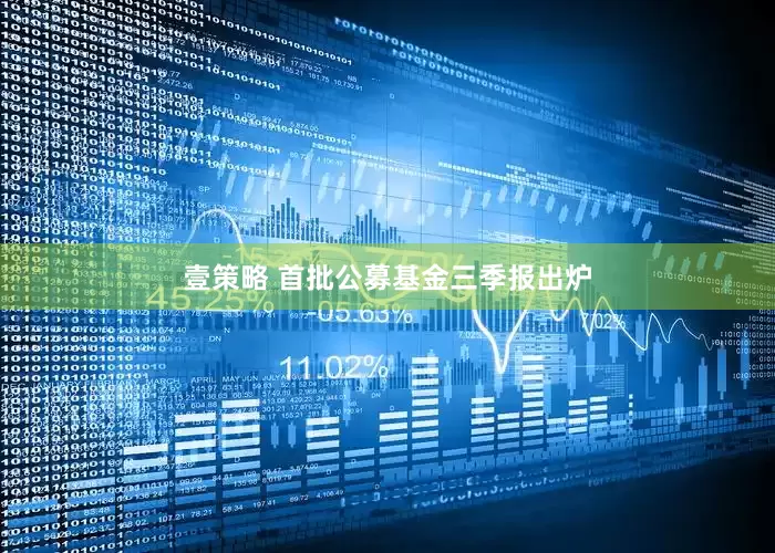 壹策略 首批公募基金三季报出炉